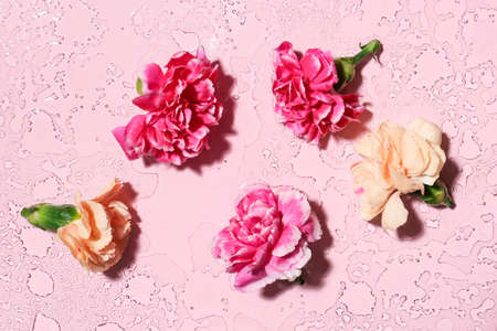 Beautiful flowers on color background with water dropsの写真素材