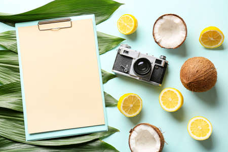 Composition with clipboard, photo camera, plant leaves and fruits on color background