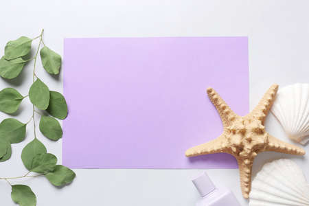 Composition with blank card, eucalyptus branches, seashells and starfish on white background,...