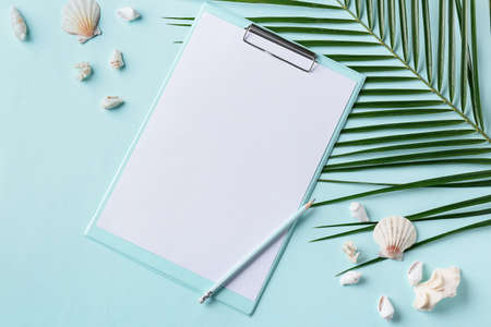 Composition with pencil, clipboard, seashells and palm leaf on color background