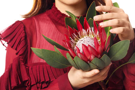 Beautiful young woman with protea flower on white background, closeupの写真素材