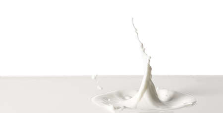 Splashes of milk on white backgroundの写真素材