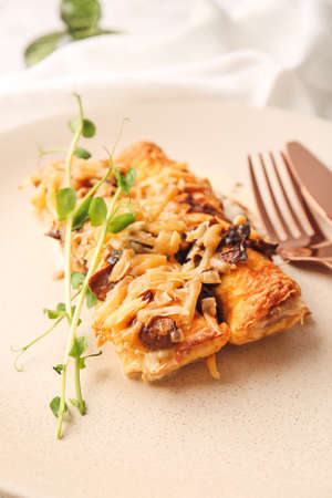 Plate with piece of delicious casserole with minced meat, closeupの写真素材