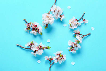Frame made of beautiful blooming branches on color background
