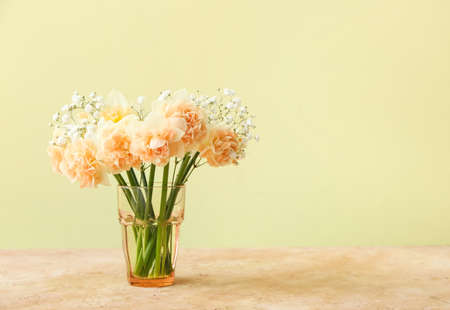 Vase with narcissus flowers on color backgroundの写真素材