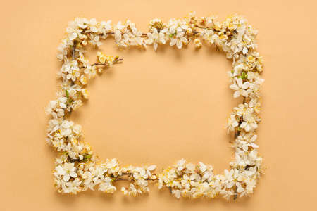 Frame made of beautiful blooming branches on color background