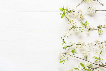 beautiful blooming branches on light wooden backgroundの写真素材