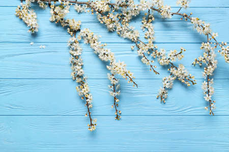 Beautiful blooming branches on color wooden background