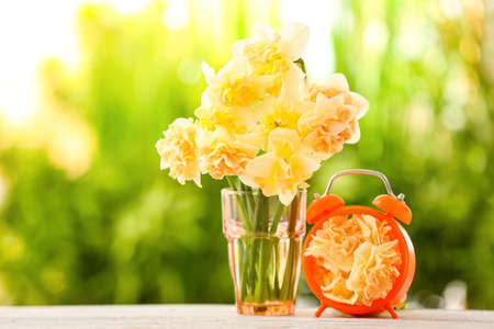 Creative composition with narcissus flowers and alarm clock on table outdoors