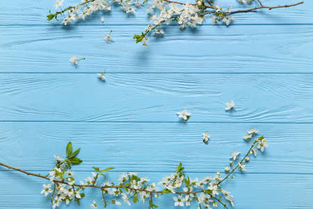 Beautiful blooming branches on color wooden backgroundの写真素材