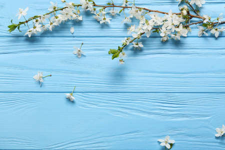 Beautiful blooming branches on color wooden background