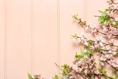 Beautiful blooming branches on color wooden background