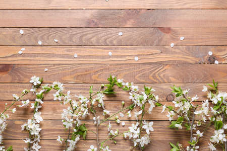 beautiful blooming branches on wooden backgroundの写真素材
