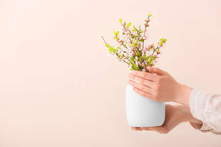 Woman with vase of beautiful blooming branches on color background