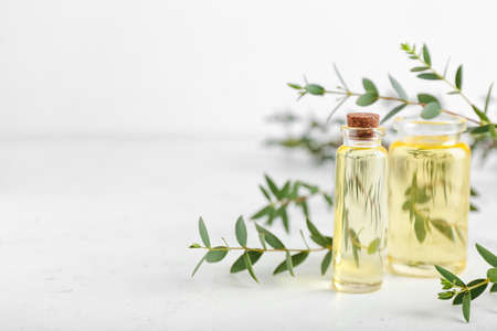 Bottles of eucalyptus oil on light backgroundの写真素材