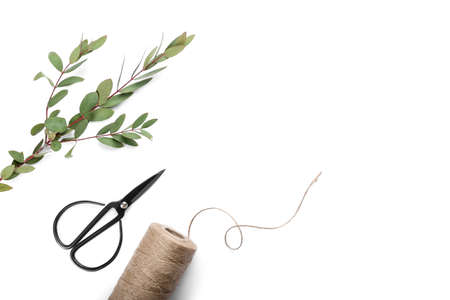 Composition with eucalyptus branches, scissors and rope on white background