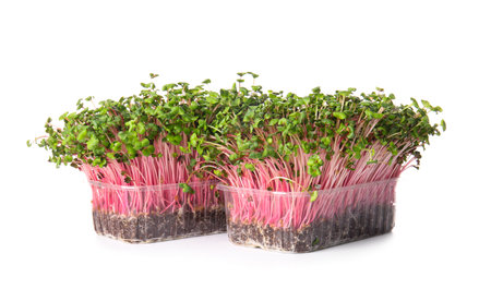 Plastic containers with fresh micro green on white backgroundの写真素材