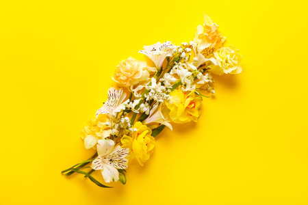 Composition with beautiful flowers on color backgroundの写真素材