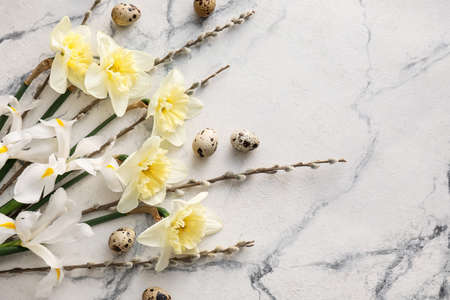 Composition with beautiful narcissus flowers, willow and quail eggs on light background