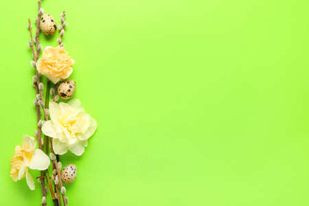 Beautiful narcissus flowers, quail eggs and willow on color background