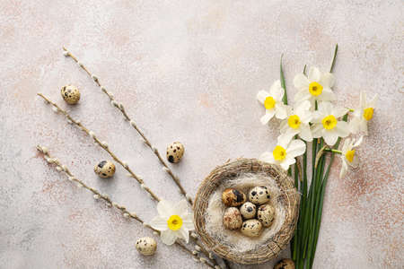 Beautiful Easter composition with narcissus flowers, willow, nest and quail eggs on light backgroundの写真素材
