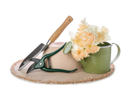 Composition with gardening tools, hat and beautiful narcissus flowers on white background