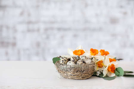Beautiful daffodils and nest with quail eggs on table near brick wall