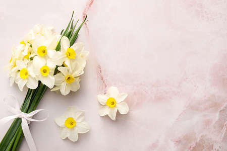 Bouquet of beautiful narcissus flowers on color backgroundの写真素材