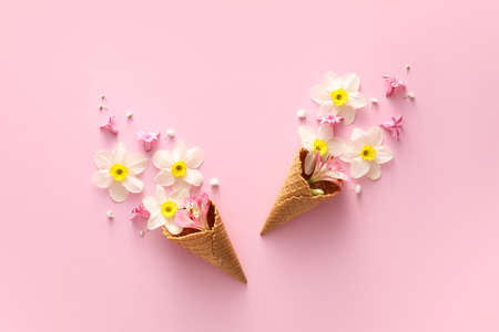 Waffle cones with beautiful flowers on color background