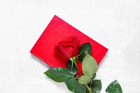 Beautiful rose and book on white backgroundの写真素材