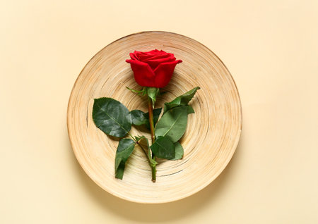 Wooden plate with beautiful rose on color backgroundの写真素材