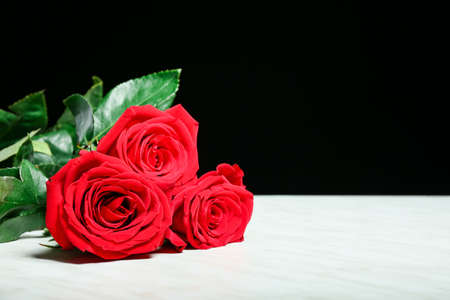 Beautiful roses on black and white background