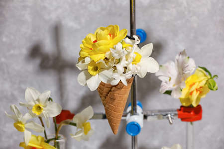 Creative composition with waffle cone and beautiful flowers on gray background, closeup