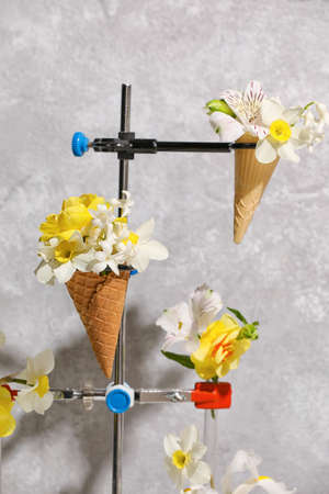 Creative composition with waffle cones and beautiful flowers on gray backgroundの写真素材