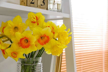 Vase with narcissus flowers on shelf in roomの写真素材