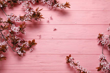 Beautiful blossoming branches on color wooden background