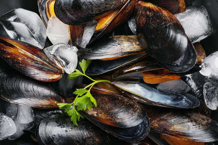 Raw mussels as background, closeupの写真素材
