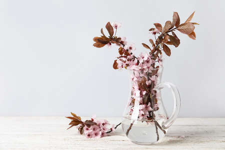 Vase with beautiful blossoming branches on table against light backgroundの写真素材