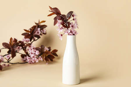 Vase with beautiful blossoming branches on color background