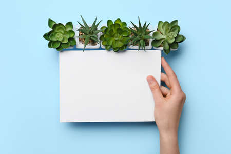 Female hand with blank sheet of paper and succulents on color background, closeup