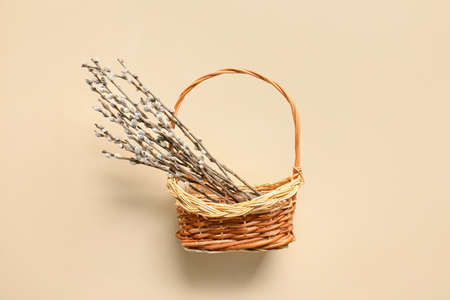 Basket with willow branches on color backgroundの写真素材