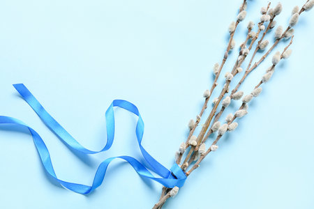 Willow branches and ribbon on color backgroundの写真素材