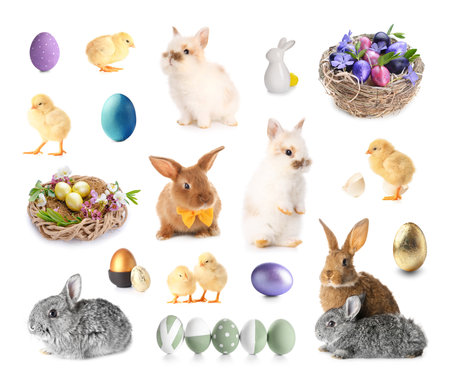 Easter set with cute animals and painted eggs isolated on whiteの写真素材