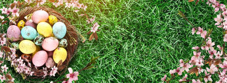 Nest with colorful Easter eggs and spring flowers on green grass with space for text