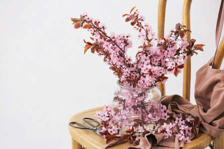 Vase with beautiful blossoming branches on chair in room