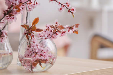 Vases with beautiful blossoming branches on table in roomの写真素材