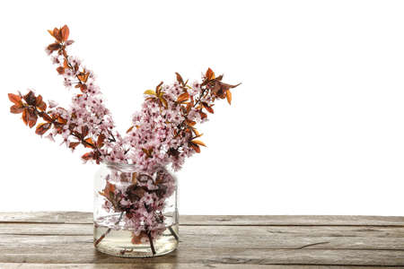 Vase with beautiful blossoming branches on wooden table against white background