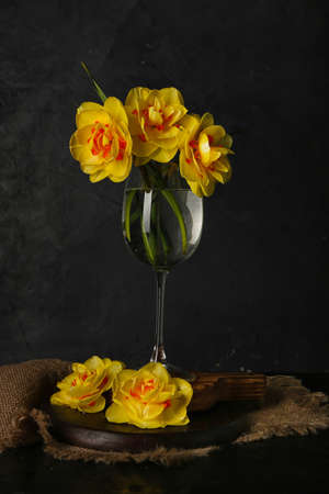 Glass with beautiful narcissus flowers on dark backgroundの写真素材