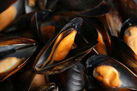 Tasty mussels as background, closeup