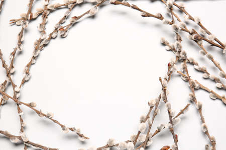 Frame made of willow branches on light backgroundの写真素材
